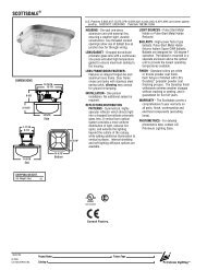 SCOTTSDALE â LSI Industries - National Petroleum Equipment, Inc.