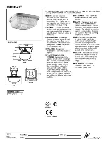 SCOTTSDALE â LSI Industries - National Petroleum Equipment, Inc.