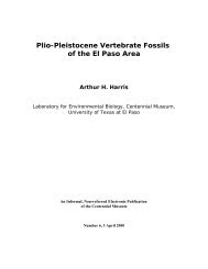 Plio-Pleistocene Vertebrate Fossils of the El Paso Area