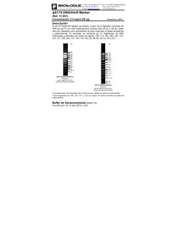 φX174 DNA/HinfI Marker - Biotools
