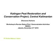 Katingan Peat Restoration and Conservation Project, Central ...