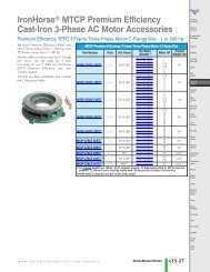 IronHorse® MTCP Premium Efficiency Cast-Iron 3-Phase AC Motor ...