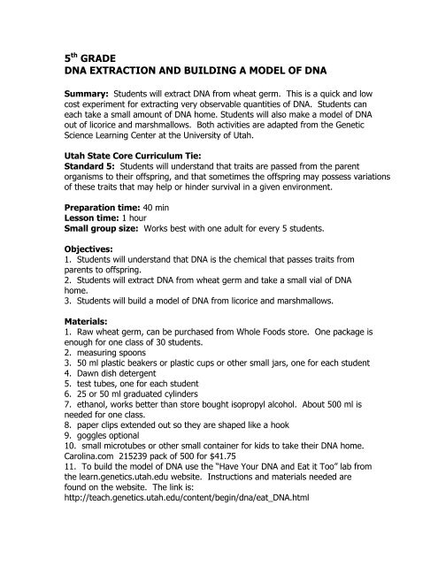 5th GRADE DNA EXTRACTION AND BUILDING A MODEL OF DNA