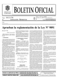 boletin oficial nÂº 102 - 1Âº seccion - BoletÃ­n Oficial de la Provincia de ...
