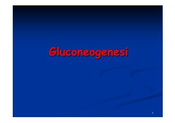 Gluconeogenesi