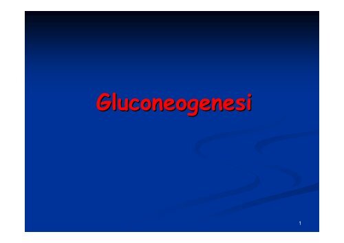 Gluconeogenesi