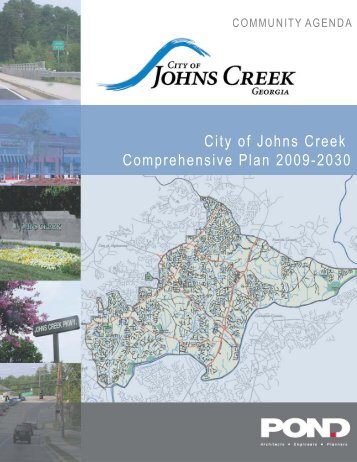 Community Assessment, Executive Summary - City of Johns Creek