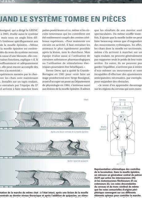 ConfÃ©rences Servier - GRSNC - UniversitÃ© de MontrÃ©al