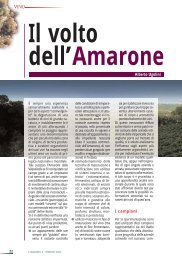 Il volto dell'amarone - Centro Studi Assaggiatori