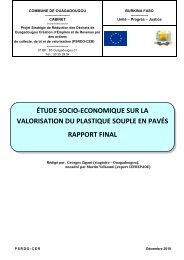 Rapport Ã©tude socio Ã©conomique sur le pavÃ© plasitque - CIFAL ...