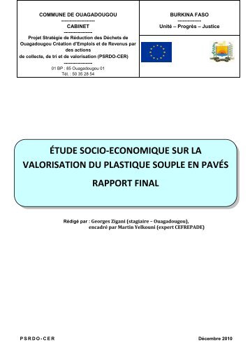 Rapport Ã©tude socio Ã©conomique sur le pavÃ© plasitque - CIFAL ...