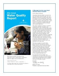 Water Quality Report - American Water