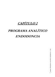 CAPÃTULO 2 PROGRAMA ANALÃTICO ENDODONCIA