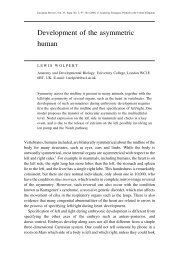 Development of the asymmetric human - Academia Europaea