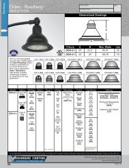 Visionaire Lighting . POG-V . Roadway . Oden_Roadway-IND