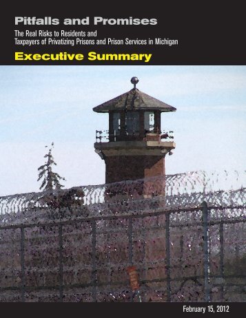Pitfalls and Promises Executive Summary - Michigan Corrections ...