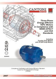 Product Catalogue 2007 Three-Phase Energy ... - Cantoni Group