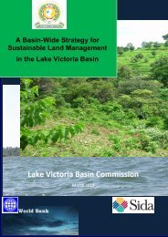 A Basin Wide Strategy for Sustainable Land Management in the ...