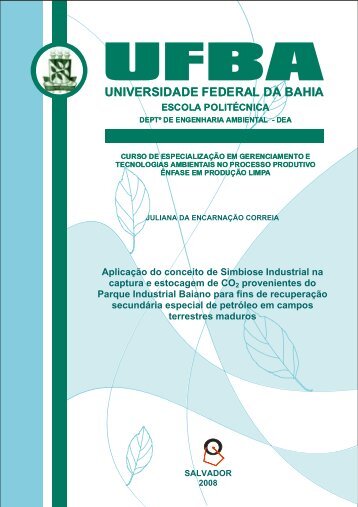 Aplicação do conceito de Simbiose Industrial na captura e ... - TECLIM