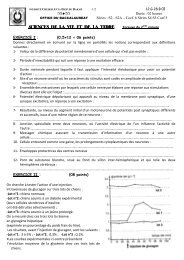 S.V.T S2-S2A-S4-S5 2Ã¨me groupe 2012