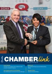 Link CHAMBER - Cork Chamber of Commerce