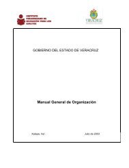 Manual Org IVEA - Gobierno del Estado de Veracruz