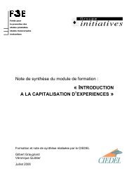 Introduction Ã  la capitalisation d'experiences - F3E