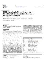 FGF2 Signaling in Mouse Embryonic Fibroblasts Is Crucial for ... - MDC
