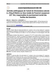 pdf available here - M.elewa.org - ELEWA