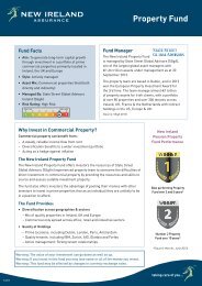 Property Fund - New Ireland Assurance