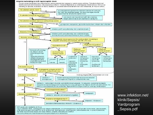 VarfÃ¶r laktat? - Infektion.net