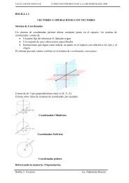 Bolilla 2 Vectores Lic. Madeleine Renom BOLILLA 2 VECTORES Y ...