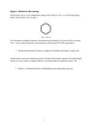 Opgave 4 Bakteriel olierensning