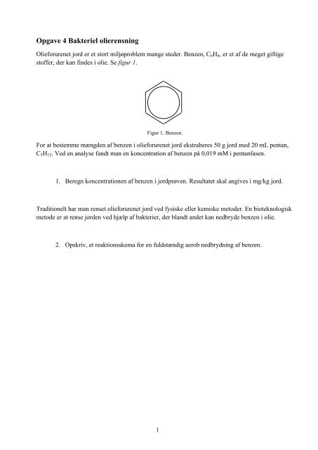 Opgave 4 Bakteriel olierensning