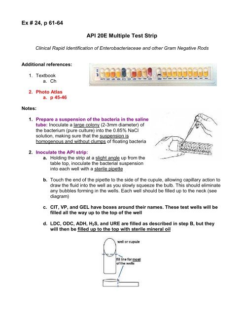 Ex 24 cover sheet API 20E Multiple Test Strip - De Anza College