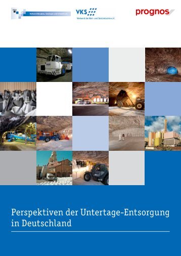 Perspektiven der Untertage-Entsorgung in Deutschland - Prognos AG