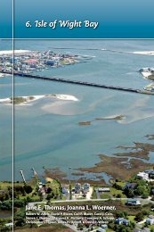 6. Isle of Wight Bay - The Coastal Bays Program