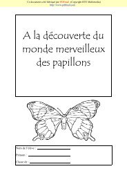 dossier-papillons-1-.pdf - Enseignons.be