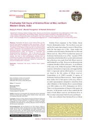 Freshwater fish fauna of Krishna River at Wai, northern Western ...