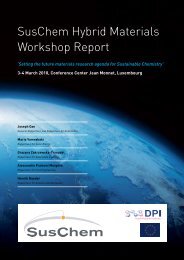 SusChem Hybrid Materials Workshop Report - European Commission