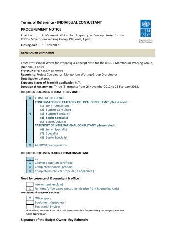 Terms of Reference - INDIVIDUAL CONSULTANT ... - UNDP