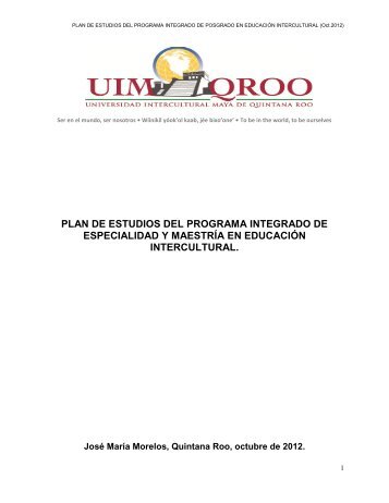 Plan de Estudios - UIMQRoo