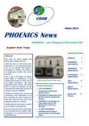 PHOENICS news Winter 2010 - Cham