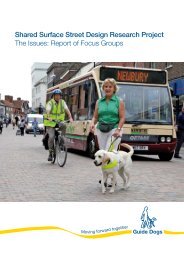 Shared Surface Street Design Research Project The Issues: Report ...