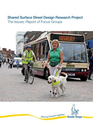 Shared Surface Street Design Research Project The Issues: Report ...