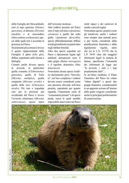 Numero speciale della rivista (.pdf 7,82Mb) - Parco Naturale ...