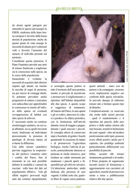 Numero speciale della rivista (.pdf 7,82Mb) - Parco Naturale ...