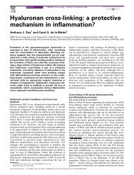 Hyaluronan cross-linking: a protective mechanism in inflammation?