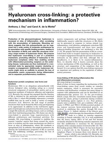 Hyaluronan cross-linking: a protective mechanism in inflammation?
