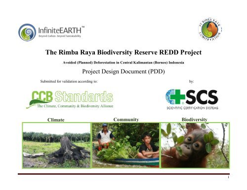 The Rimba Raya Biodiversity Reserve REDD Project